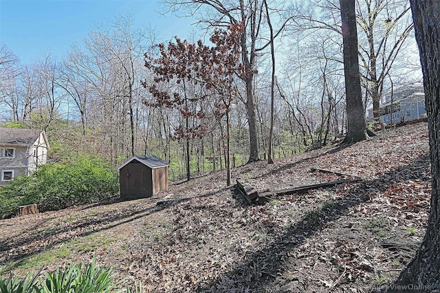 view of yard featuring a storage unit