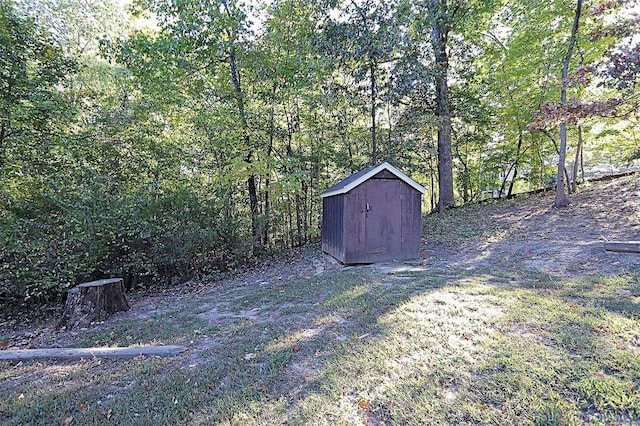 view of yard with a shed