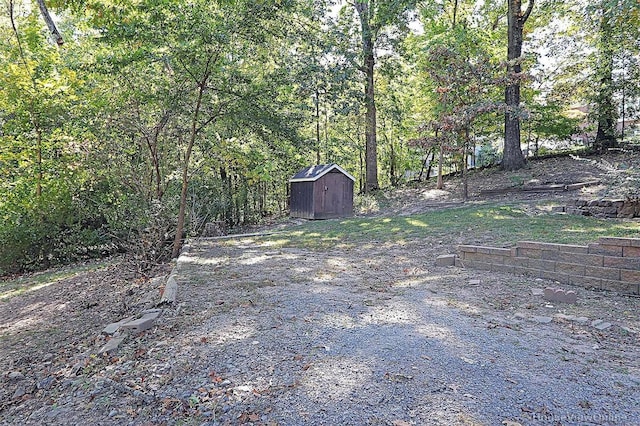 view of yard with a shed