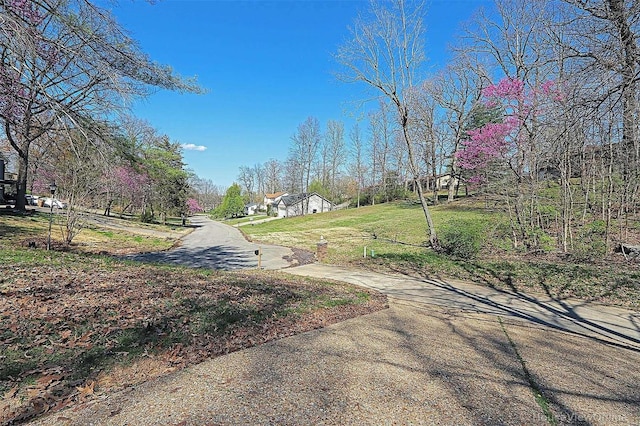 view of road