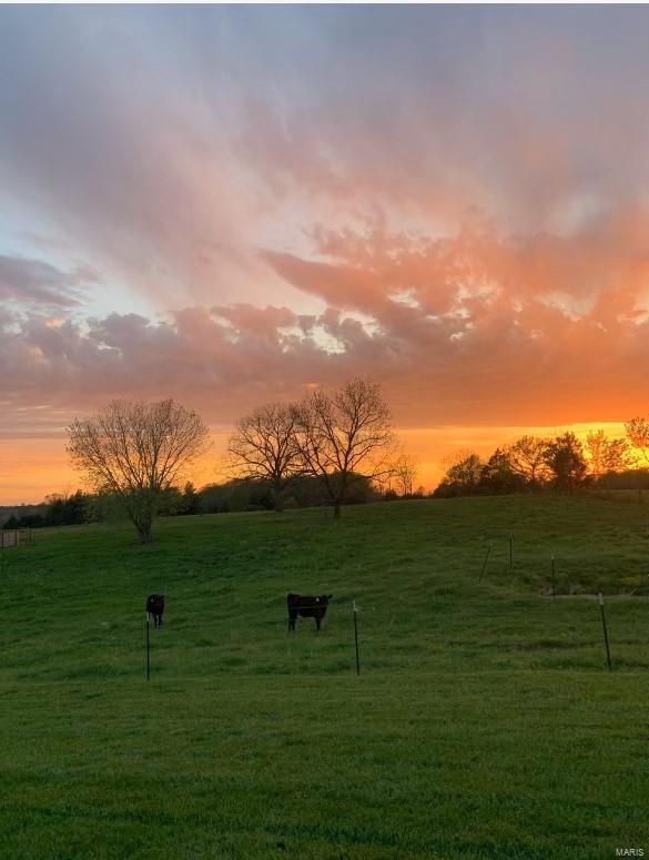 yard at dusk with a rural view