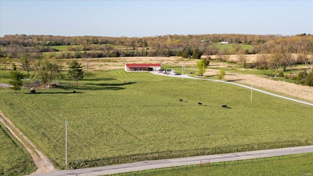 drone / aerial view featuring a rural view