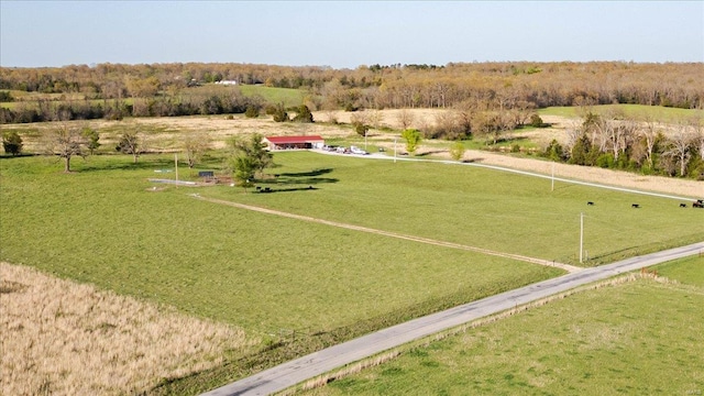 bird's eye view with a rural view