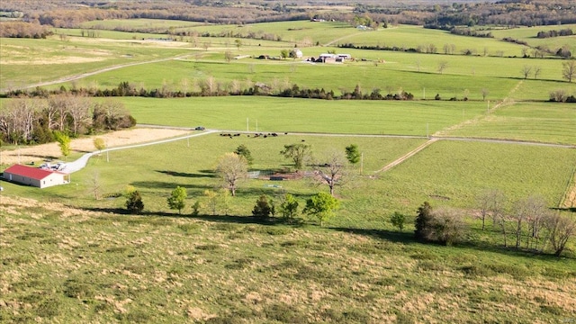 bird's eye view featuring a rural view