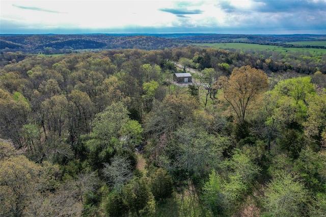 view of bird's eye view