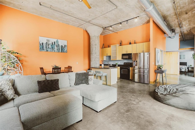 living room featuring a high ceiling and rail lighting