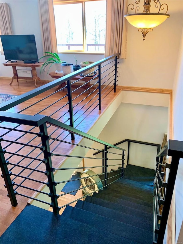 stairs featuring hardwood / wood-style flooring