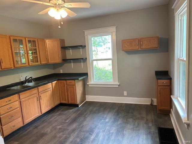 kitchen featuring ceiling fan, dark hardwood / wood-style flooring, and sink