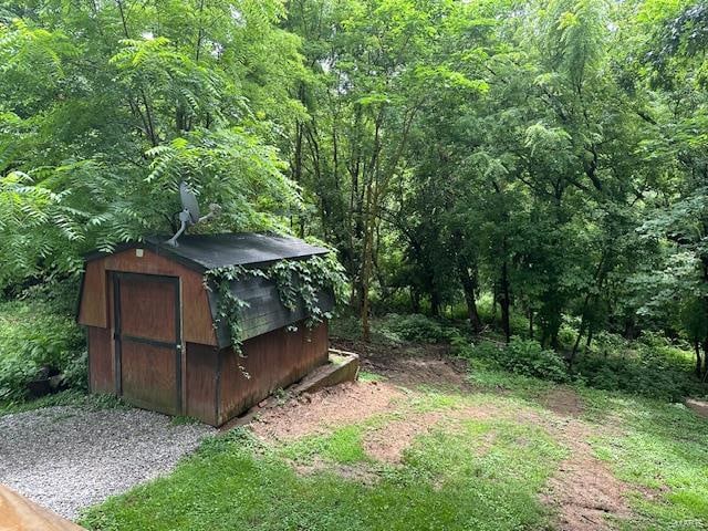 view of yard with a storage unit