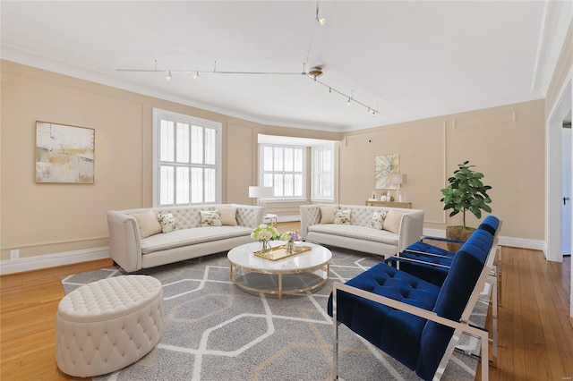 living room with hardwood / wood-style flooring, ornamental molding, and track lighting