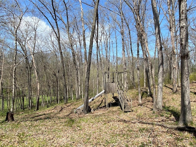 view of local wilderness