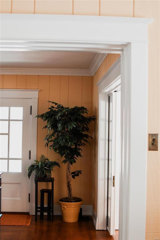 corridor with dark wood-type flooring, a wealth of natural light, and ornamental molding