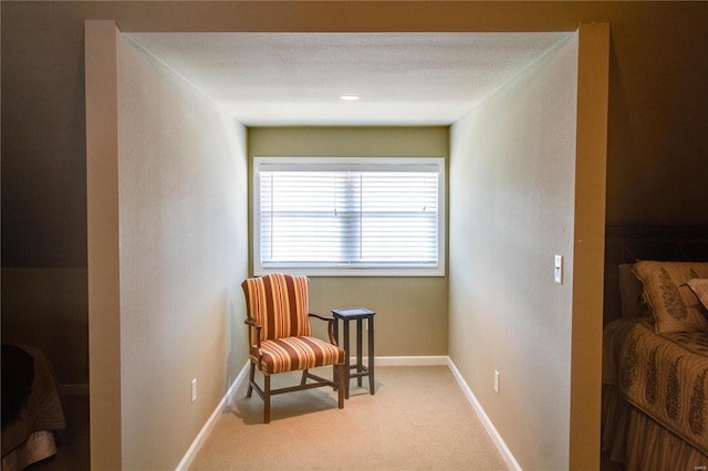 living area featuring carpet flooring