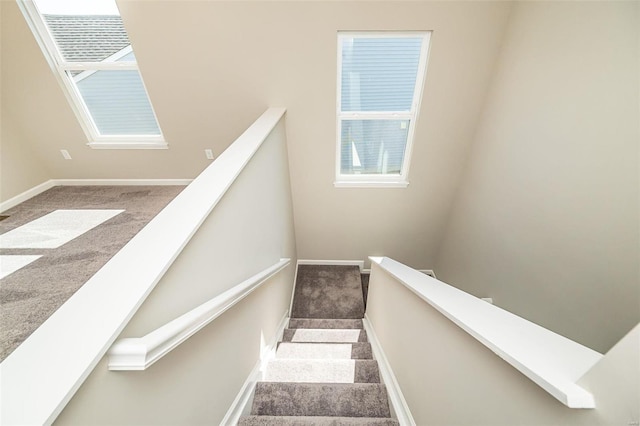 staircase featuring carpet flooring