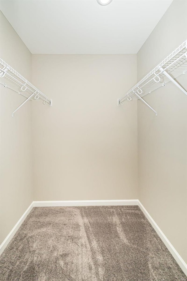 walk in closet with carpet