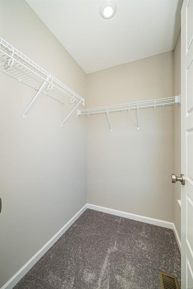 spacious closet featuring carpet flooring