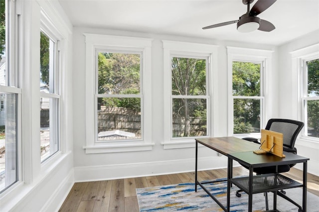 office with hardwood / wood-style floors, ceiling fan, and plenty of natural light