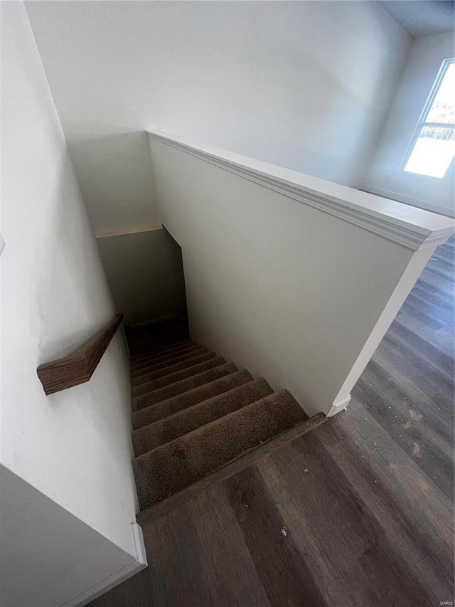 staircase with wood-type flooring