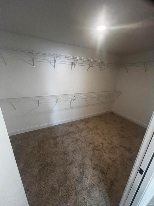 walk in closet featuring dark colored carpet