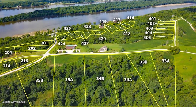 419 Riverview Rd, Golden Eagle IL, 62036 land for sale