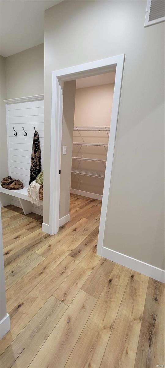 spacious closet with light hardwood / wood-style flooring