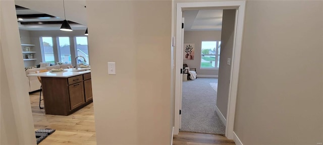 hall with a raised ceiling, sink, and light hardwood / wood-style floors