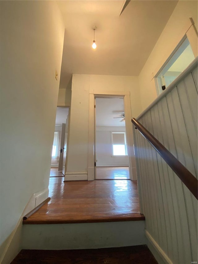 stairs with hardwood / wood-style floors