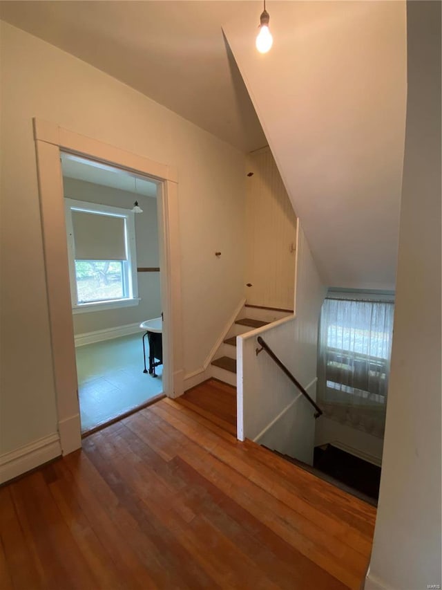 staircase featuring wood-type flooring