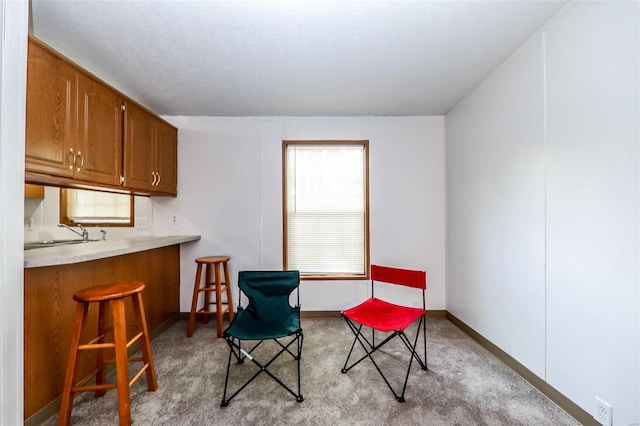 living area with carpet floors