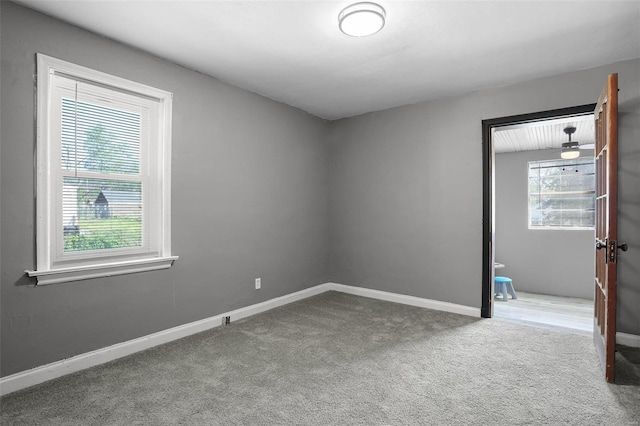 empty room with carpet floors and a healthy amount of sunlight