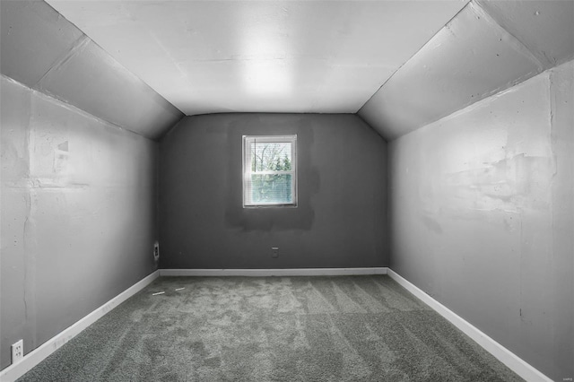 additional living space featuring carpet and vaulted ceiling