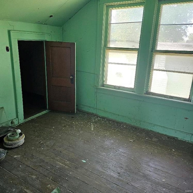 bonus room featuring hardwood / wood-style floors