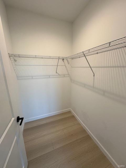 spacious closet featuring wood finished floors