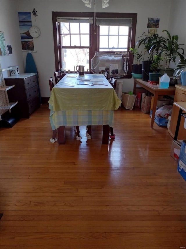 dining area with wood-type flooring