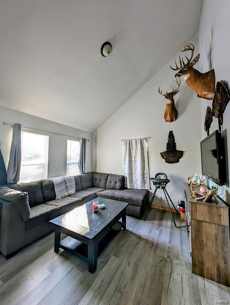 living room featuring wood-type flooring and lofted ceiling