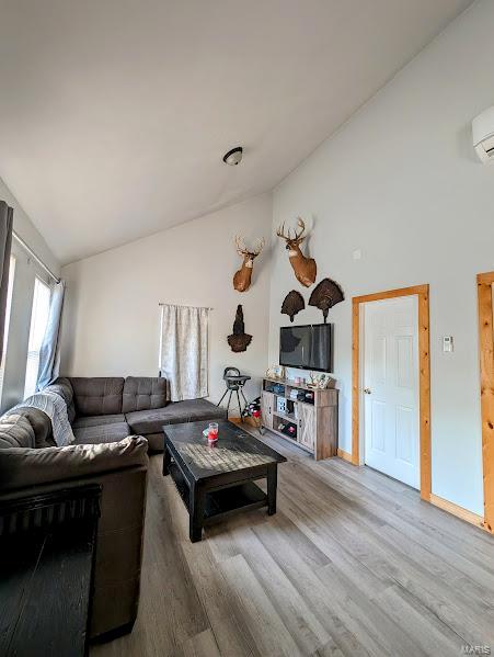 living room featuring wood-type flooring and high vaulted ceiling