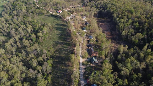 view of bird's eye view