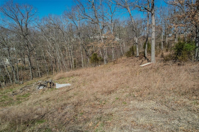 view of local wilderness