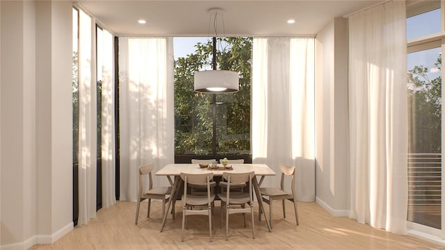 dining area with light hardwood / wood-style flooring