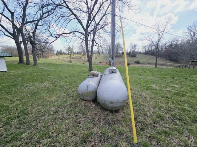 view of yard featuring a rural view