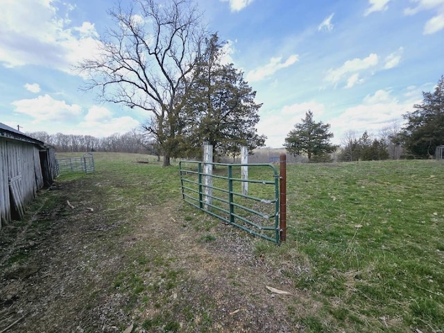 view of yard featuring a rural view