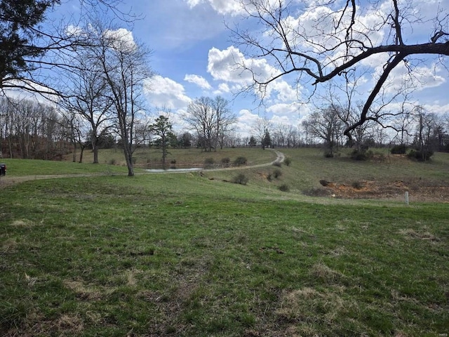 view of yard with a rural view