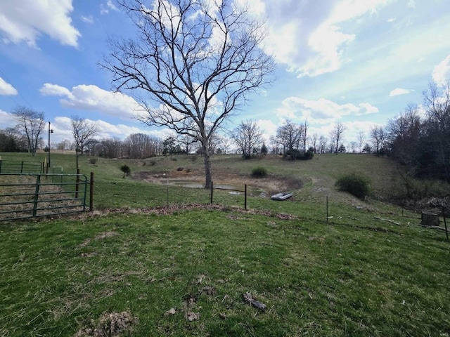 view of yard featuring a rural view