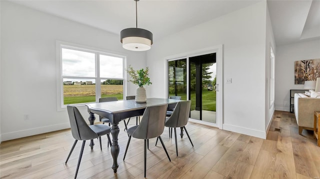 dining area with light hardwood / wood-style flooring