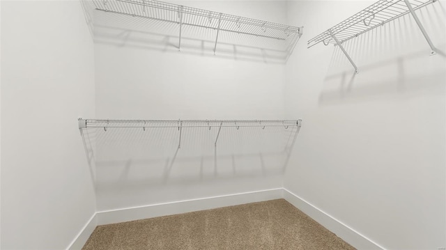 walk in closet with carpet floors