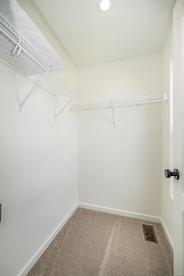 walk in closet with carpet flooring