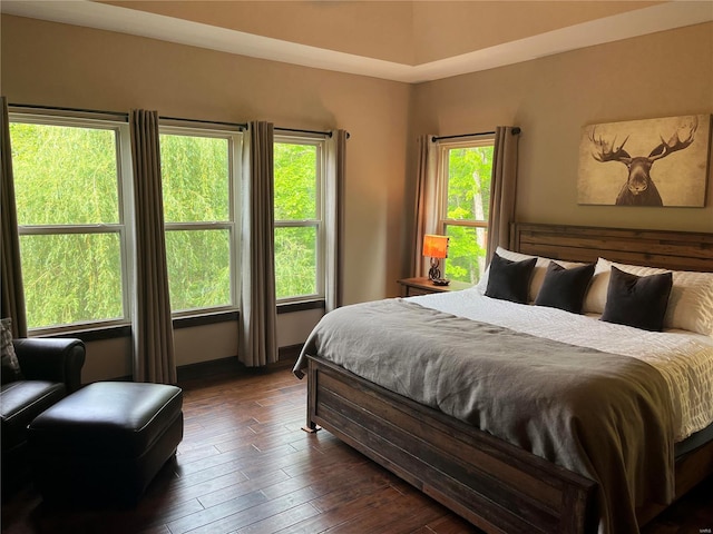 bedroom featuring multiple windows and dark hardwood / wood-style floors