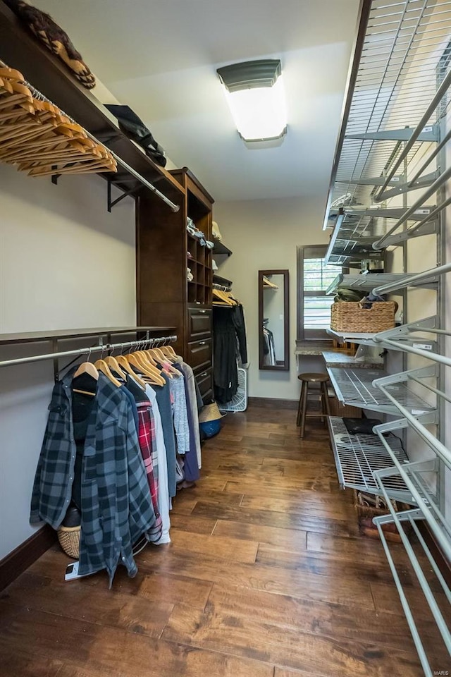 spacious closet with wood-type flooring