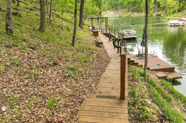 dock area with a water view