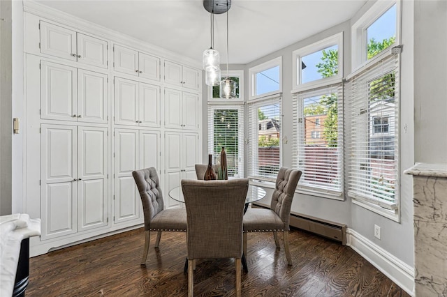 dining room featuring baseboard heating and dark wood-type flooring